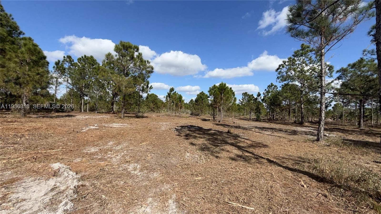 17975 NW 298 st, Okeechobee FL 34972