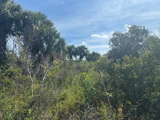 0 NW 310th Street, Okeechobee FL 34972