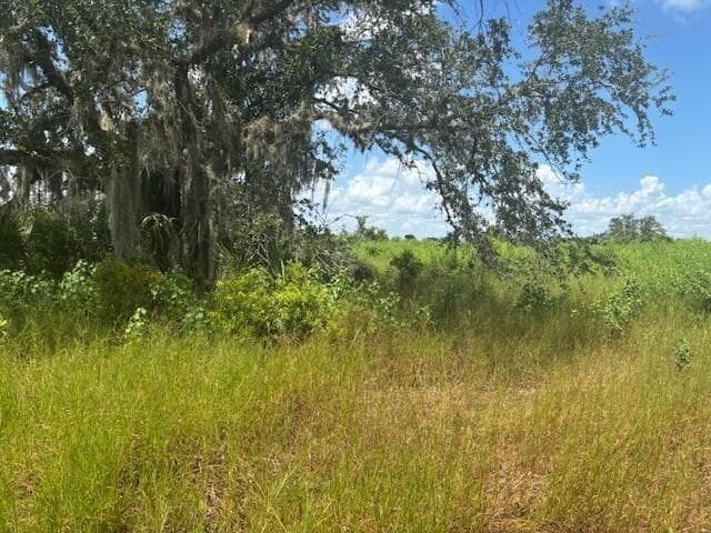 0 NW 316th Street, Okeechobee FL 34972