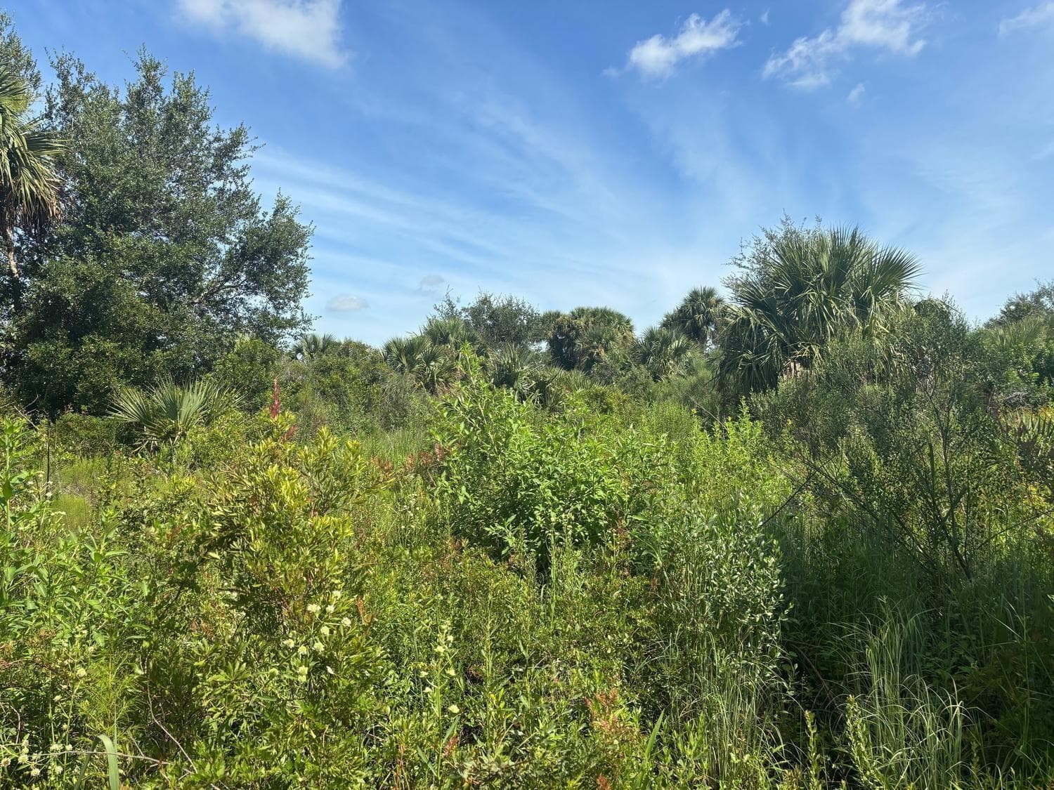 0 NW 312th Street, Okeechobee FL 34972