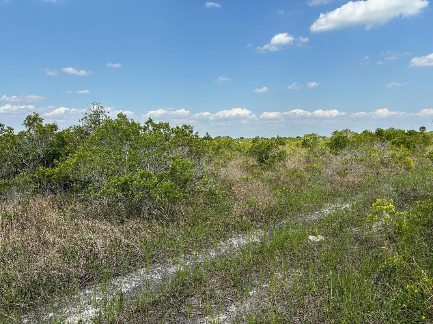 0 NW 318th Street, Okeechobee FL 34972