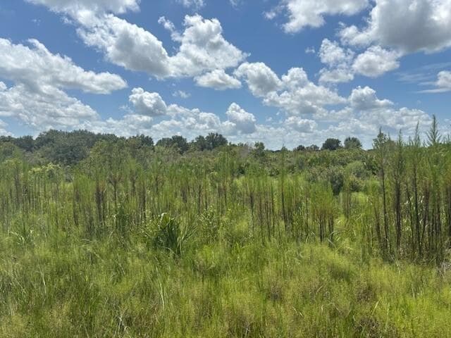0 NW 314th Street, Okeechobee FL 34972