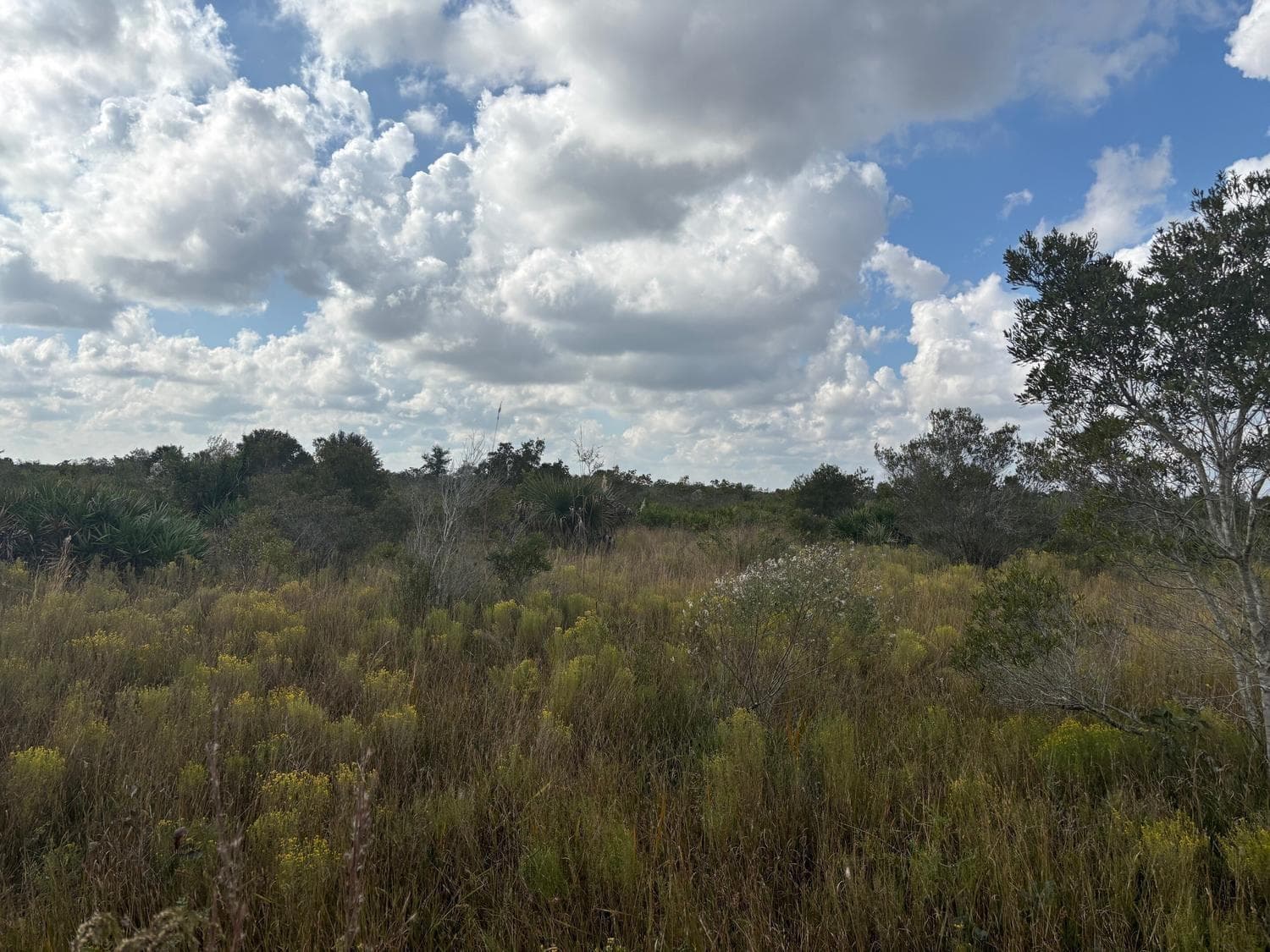 0 NW 314th Street, Okeechobee FL 34972