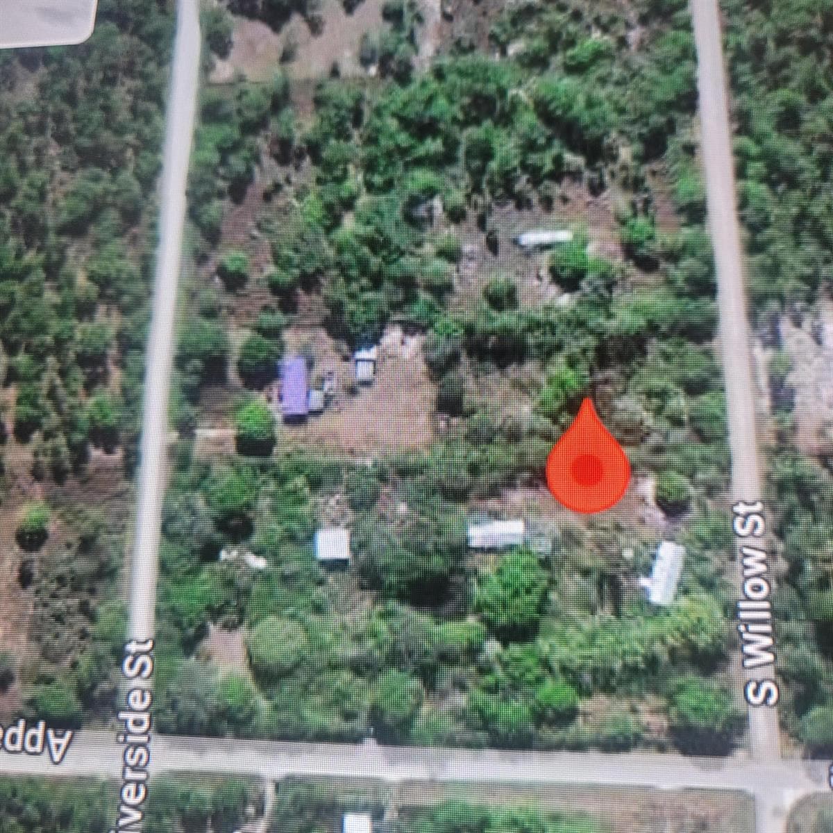 725 willow 2