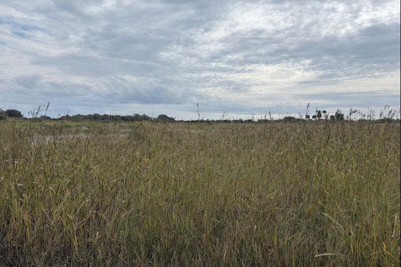 0 NW 306th Street, Okeechobee FL 34972
