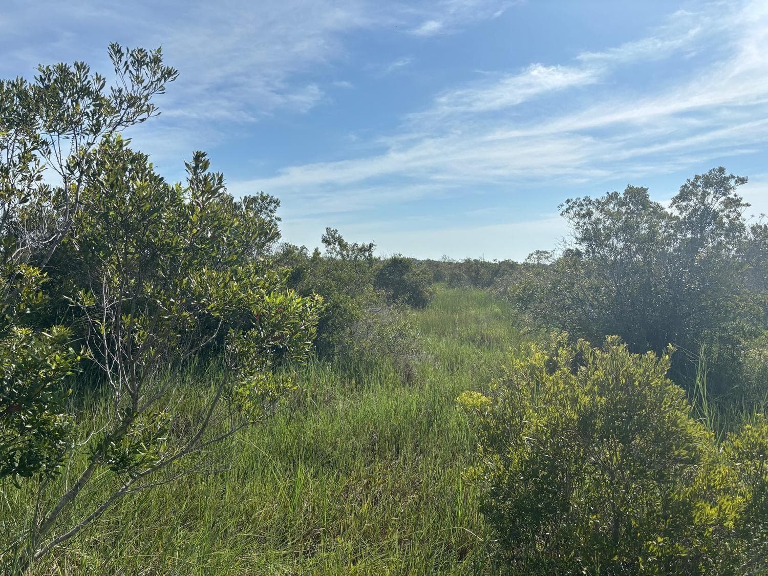 0 NW 308th Street, Okeechobee FL 34972