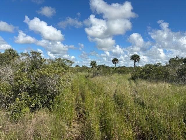 0 NW 310th Street, Okeechobee FL 34972