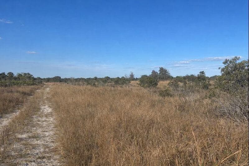 0 NW 290th Street, Okeechobee FL 34972