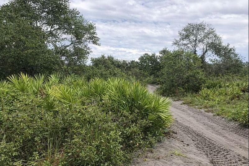 0 Alturas Babson Park Cutoff Road, Lake Wales FL 33859