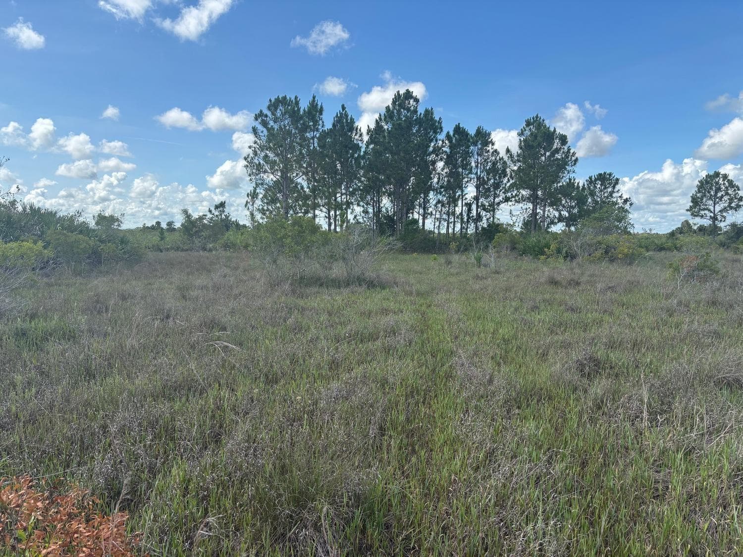 0 290th Street, Okeechobee FL 34972