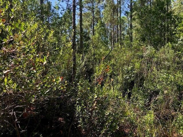 0 Old Grade Road, FL 33868