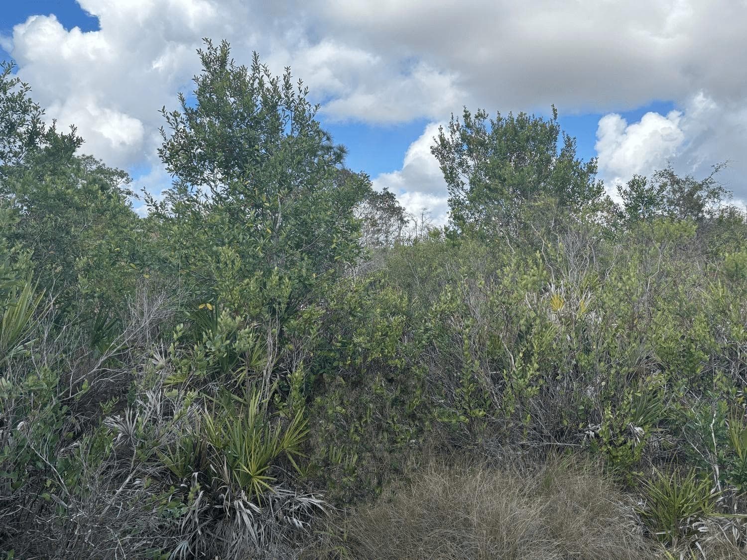 0 County Rd 54, FL 33849