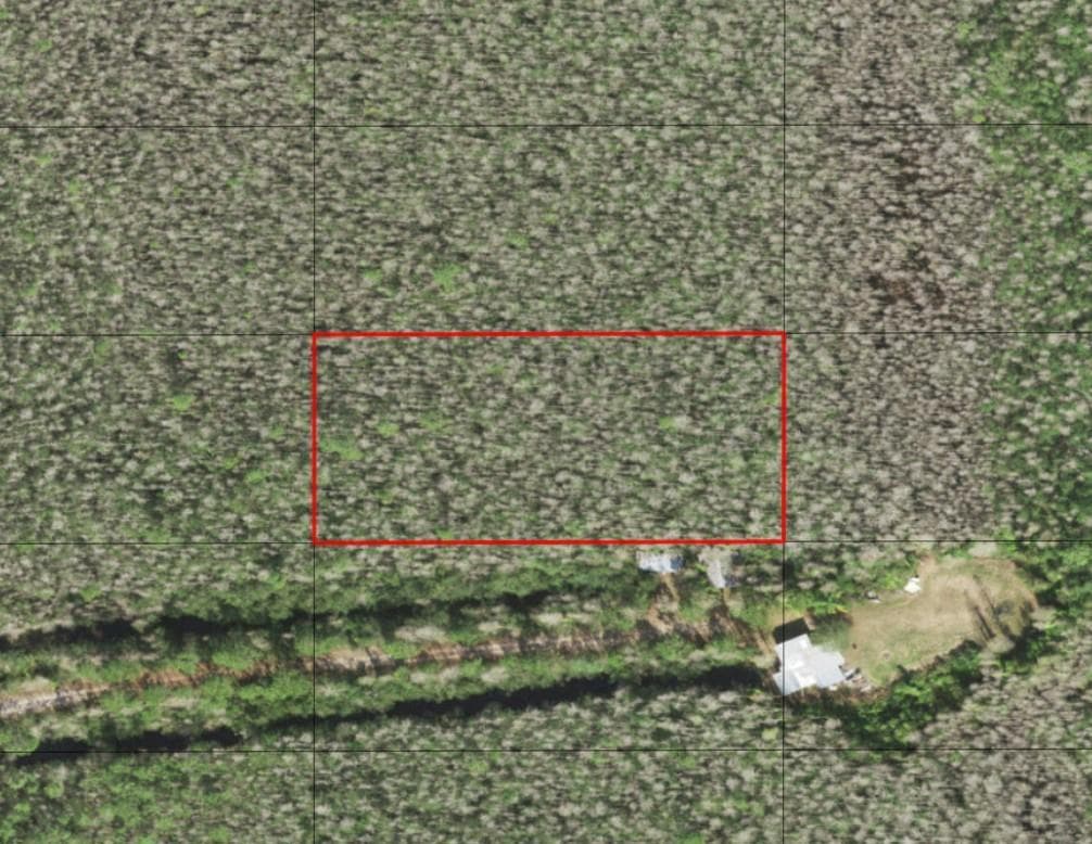 0 Holopaw Groves Road, FL 34772