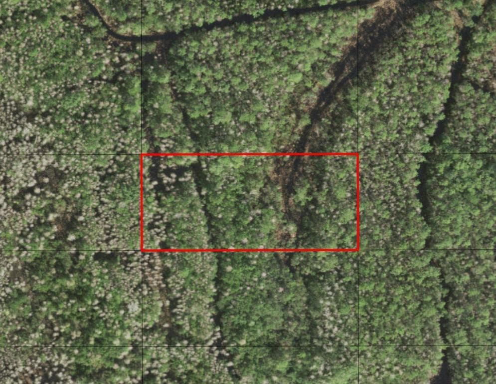 0 Holopaw Groves Road, FL 34772