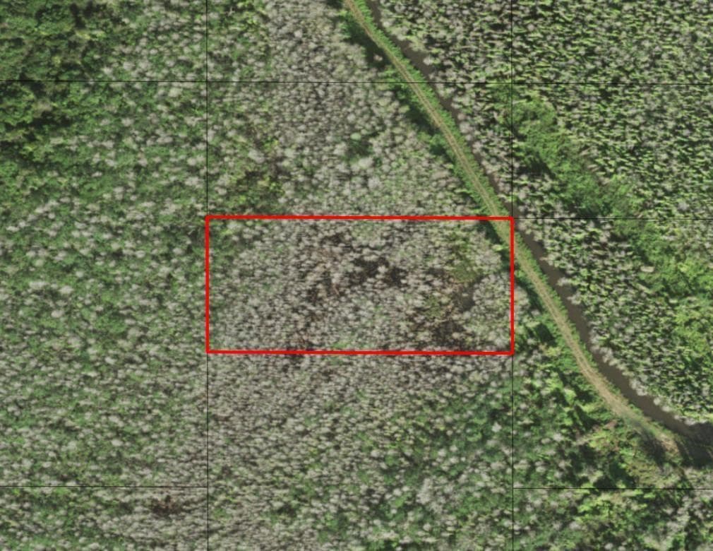 0 Holopaw Groves Road, FL 34772
