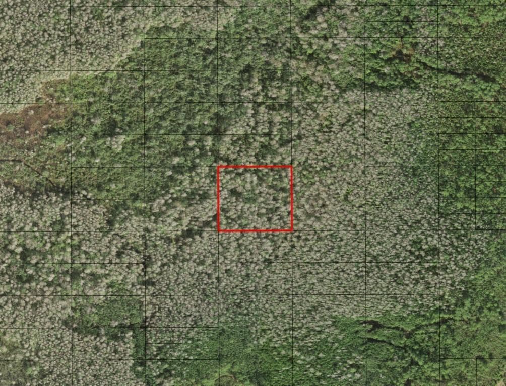 0 Holopaw Groves Road, FL 34772