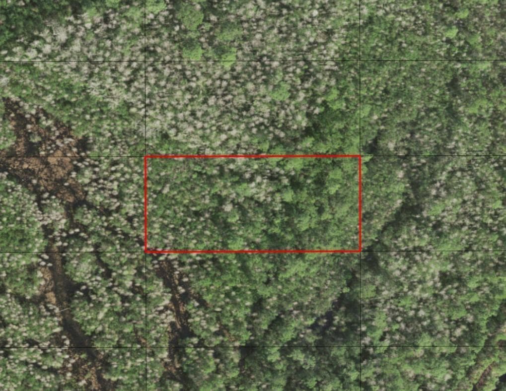 0 Holopaw Groves Road, FL 34772
