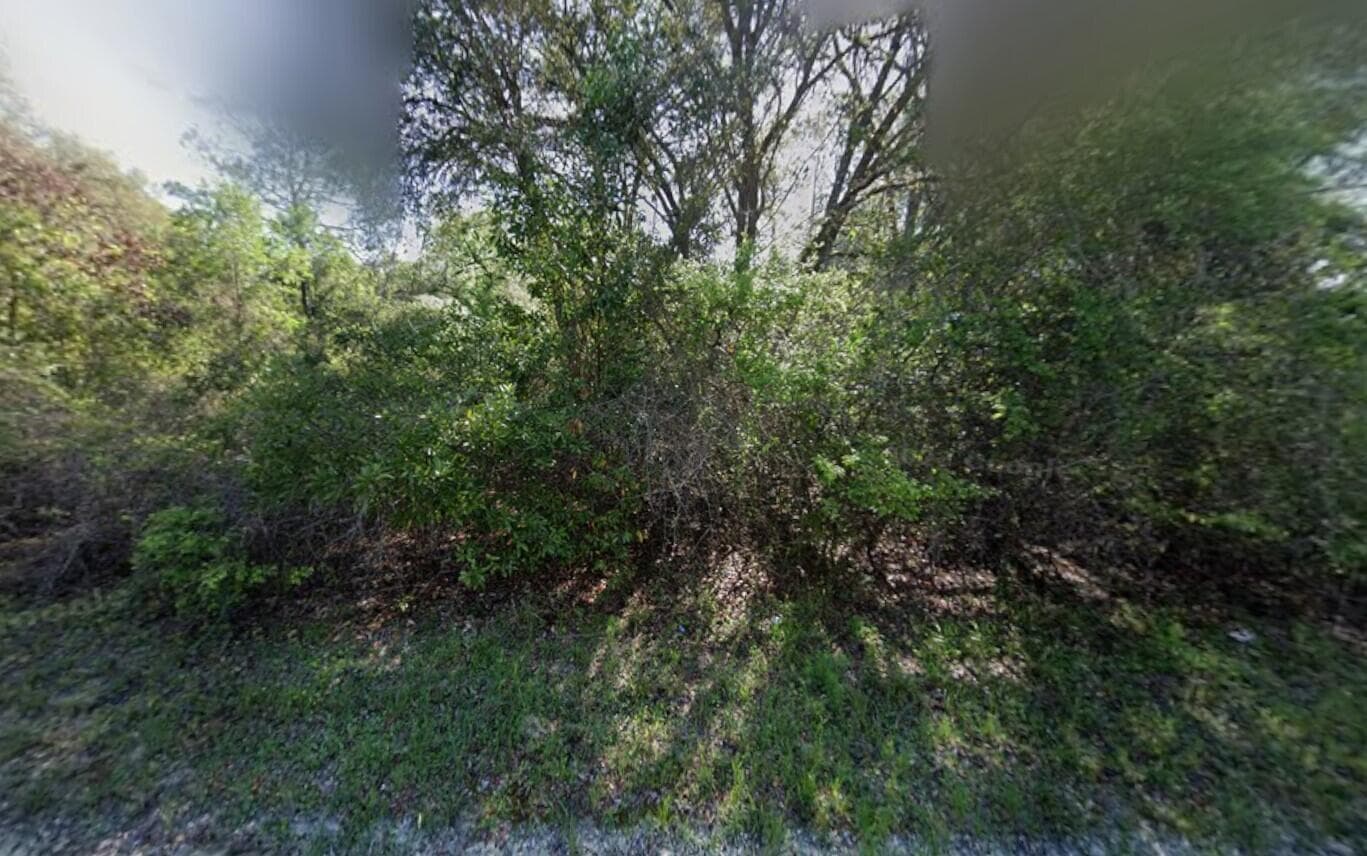 Tbd NE 799th Street, FL 32680