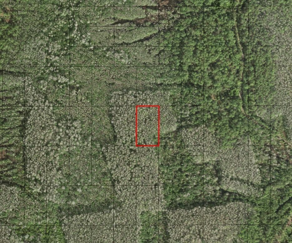 0 Holopaw Groves Road, FL 34772