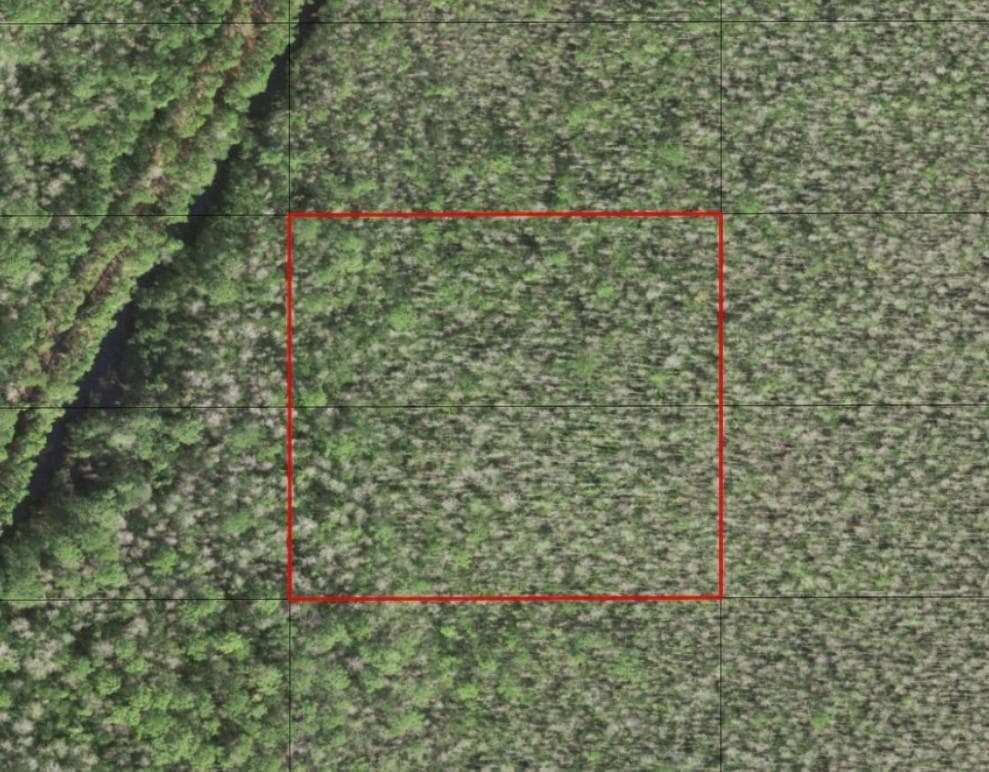 0 Holopaw Groves Road, FL 34772