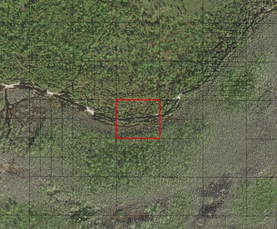 0 Holopaw Groves Road, FL 34772