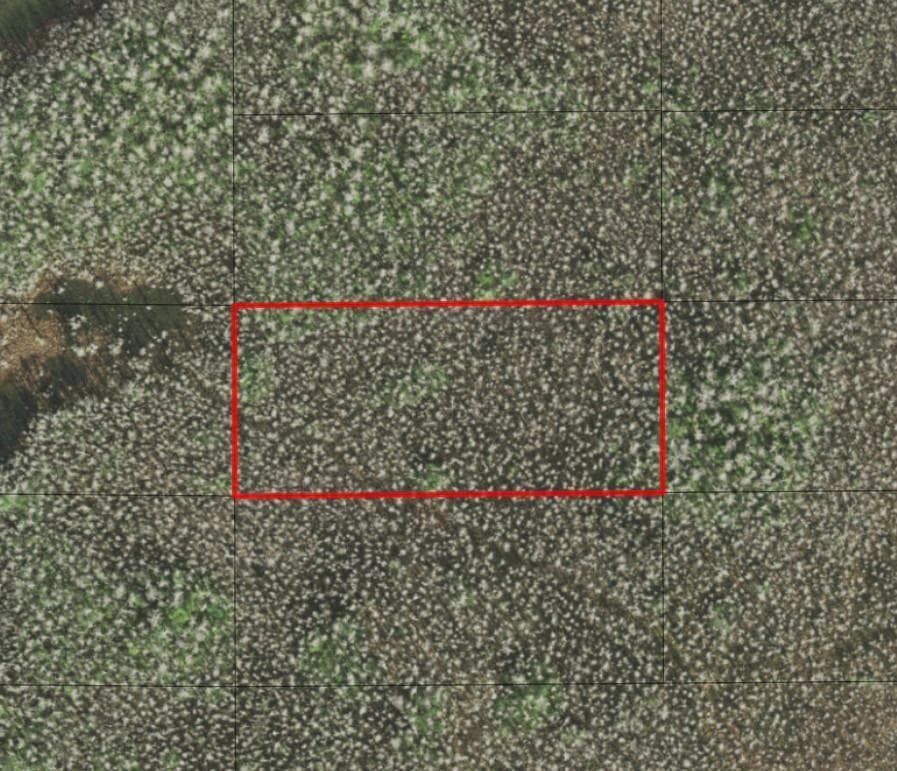 0 Holopaw Groves Road, FL 34772