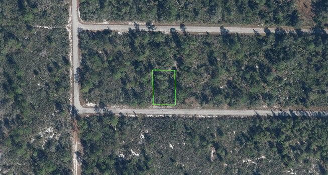 3351 Elmbrook Drive, Lake Placid FL 33852