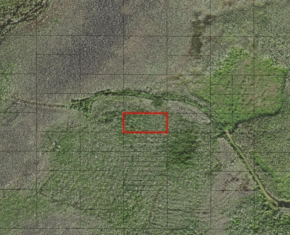 0 Holopaw Groves Road, FL 34772