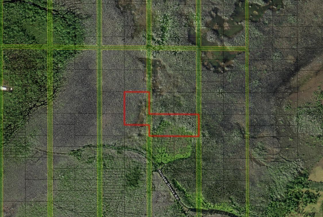 0 Holopaw Groves Road, FL 34772