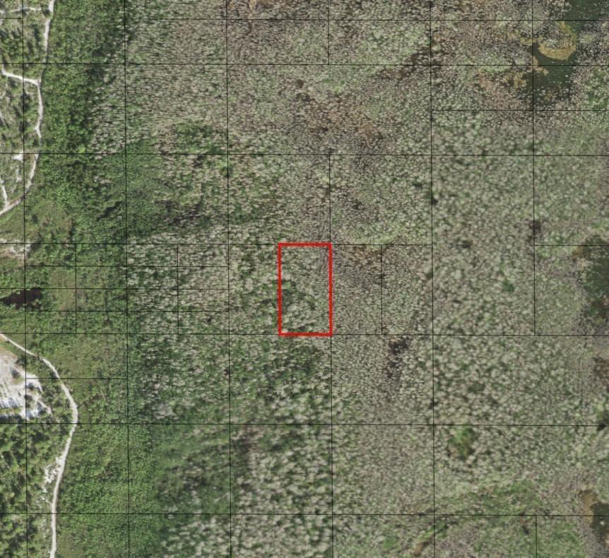 0 Holopaw Groves Road, FL 34772