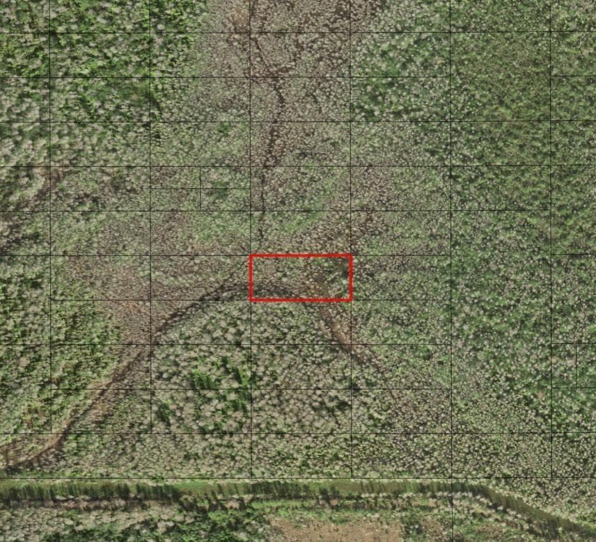 0 Holopaw Groves Road, FL 34772