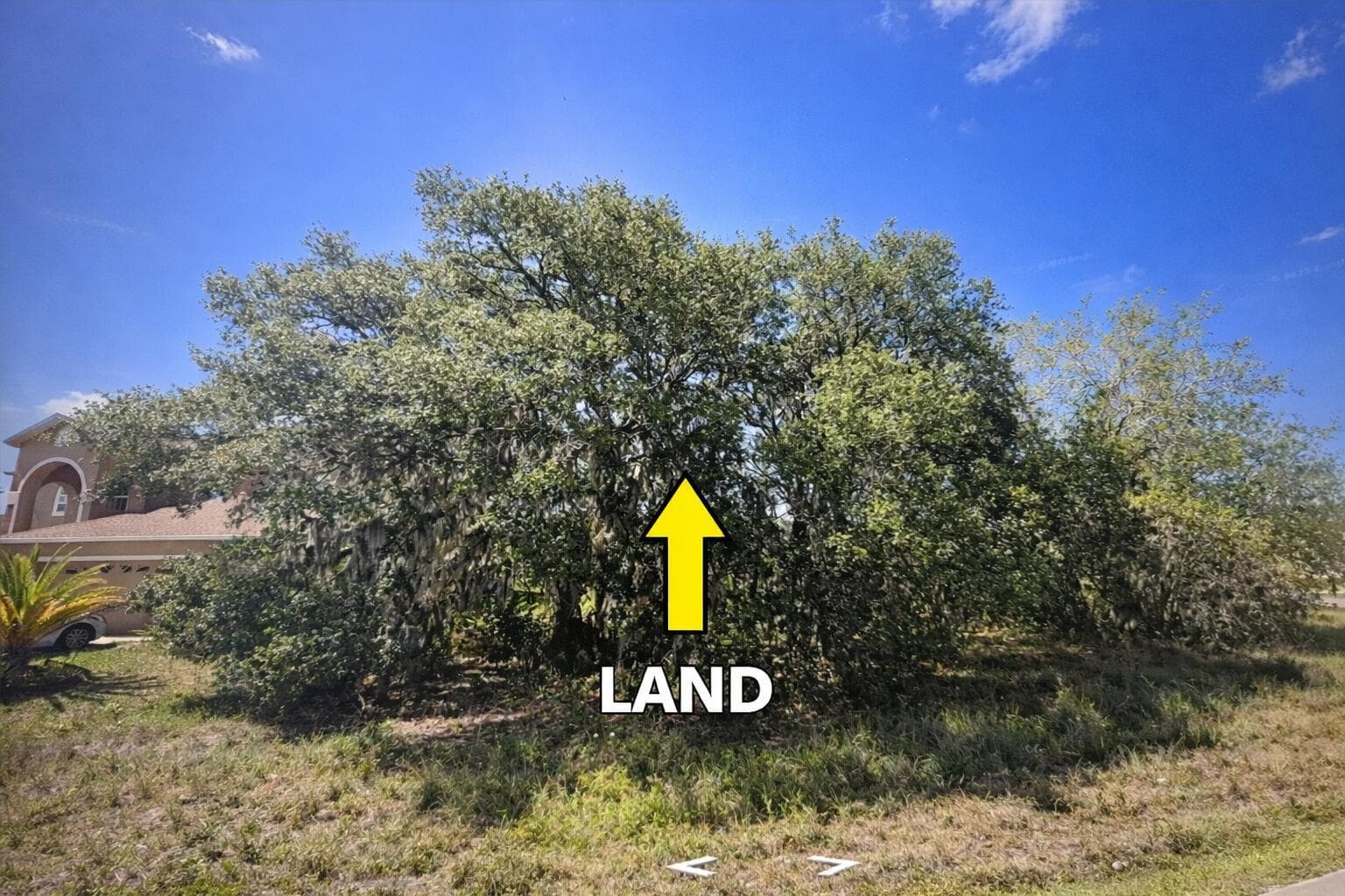 LAND-3