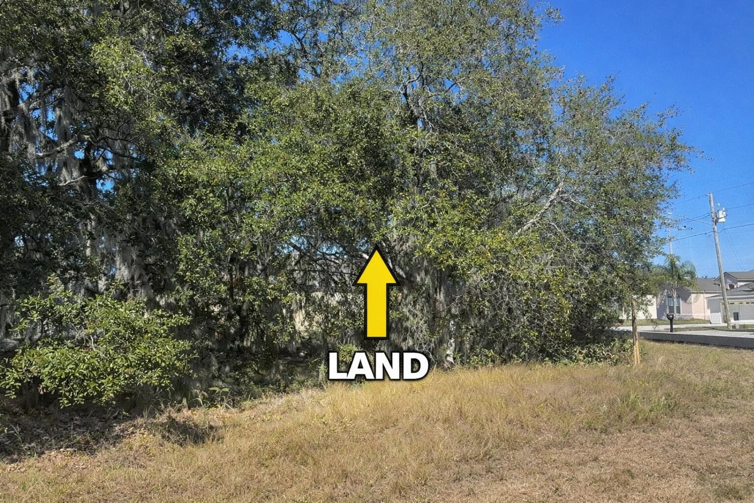 LAND-4