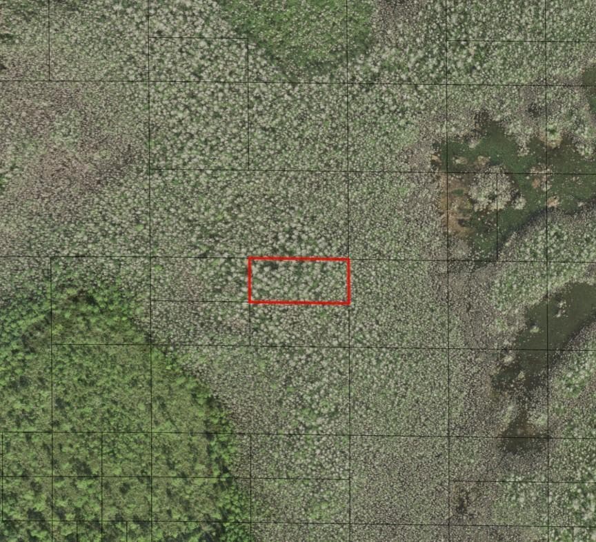 0 Holopaw Groves Road, FL 34772
