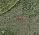 0 Holopaw Groves Road, FL 34772