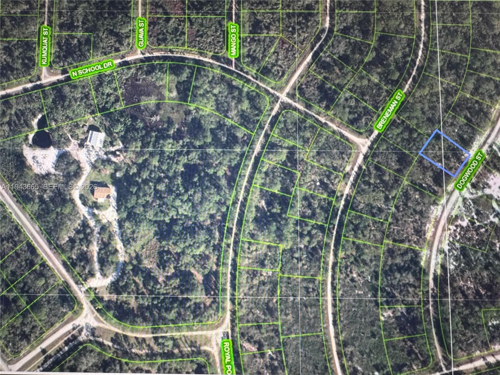 1230 Dogwood, Lake Placid FL 33852