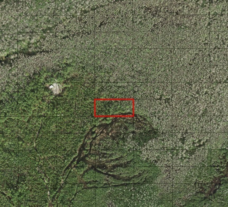 0 Holopaw Groves Road, FL 34772