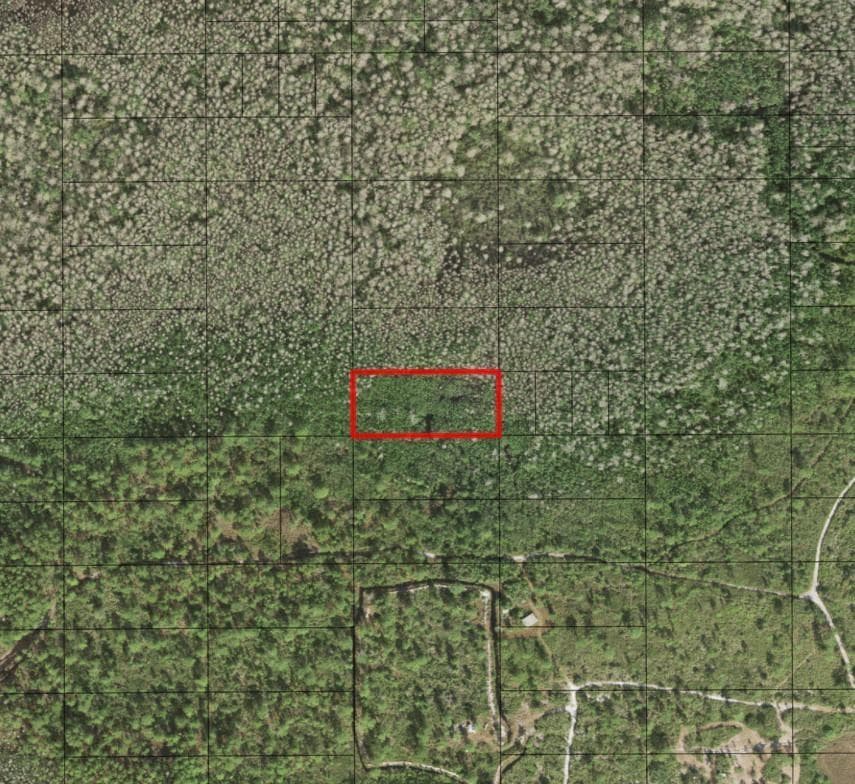 0 Holopaw Groves Road, FL 34772