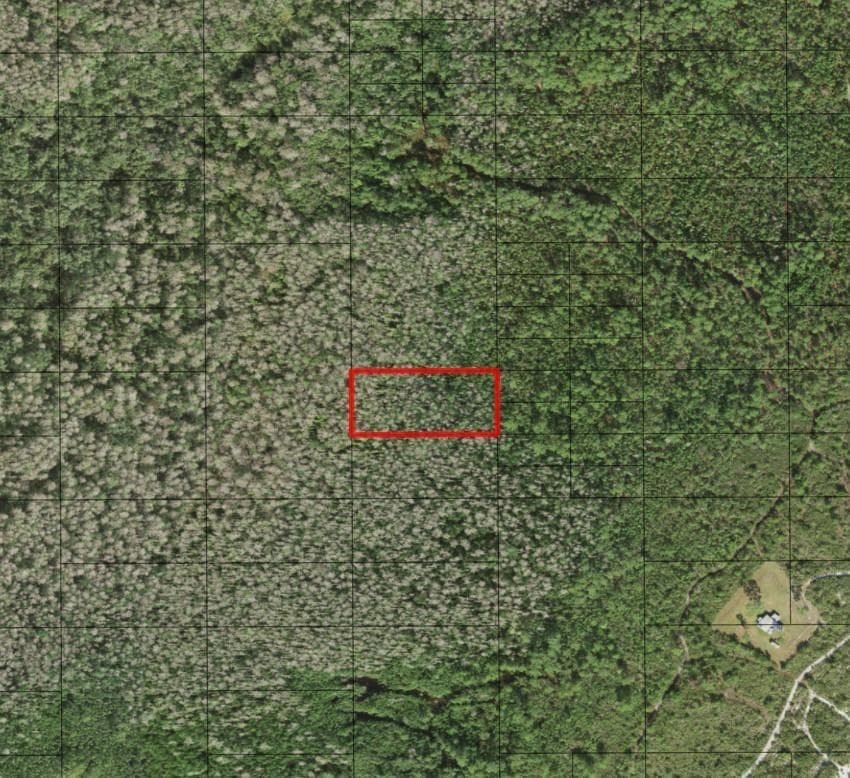 0 Holopaw Groves Road, FL 34772
