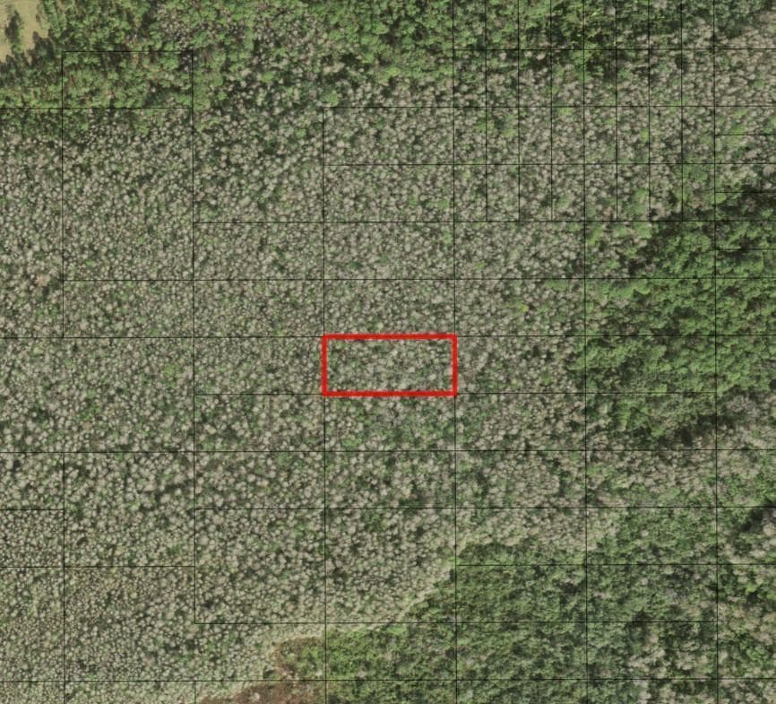 0 Holopaw Groves Road, FL 34772