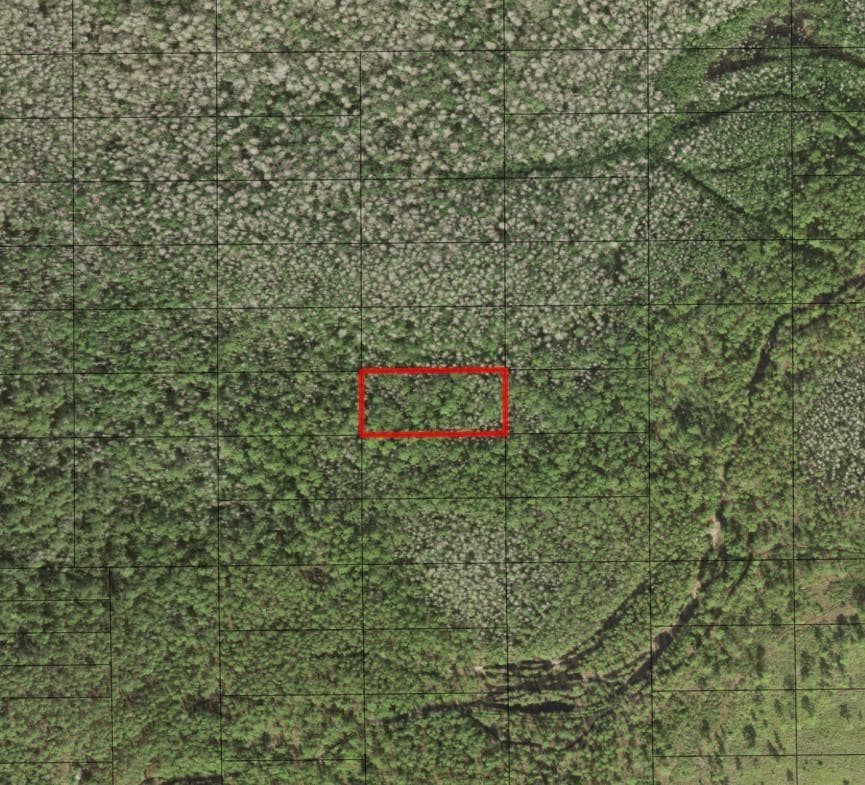 0 Holopaw Groves Road, FL 34772