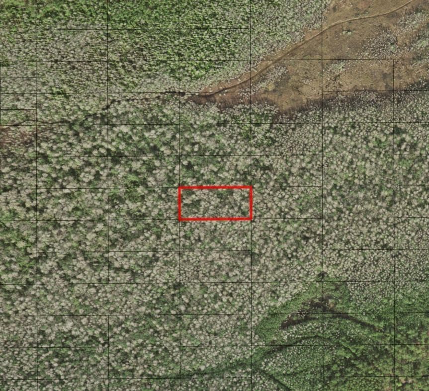 0 Holopaw Groves Road, FL 34772