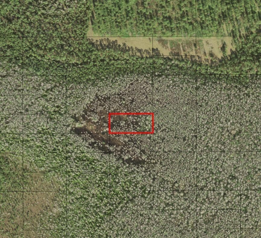 0 Holopaw Groves Road, FL 34772