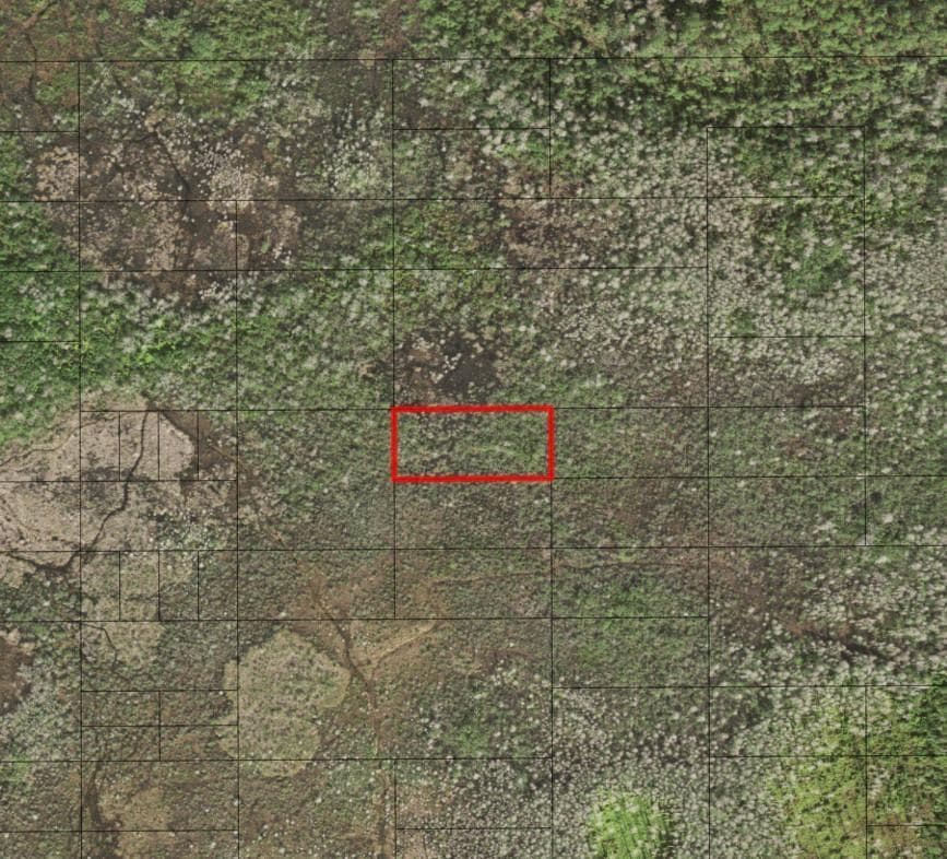 0 Holopaw Groves Road, FL 34772