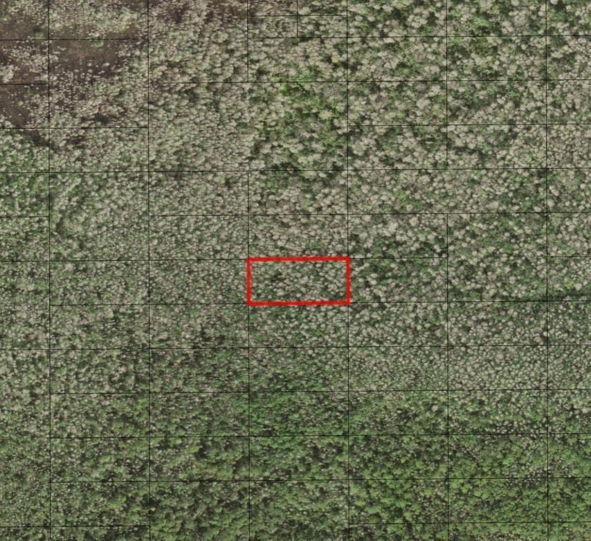 0 Holopaw Groves Road, FL 34772