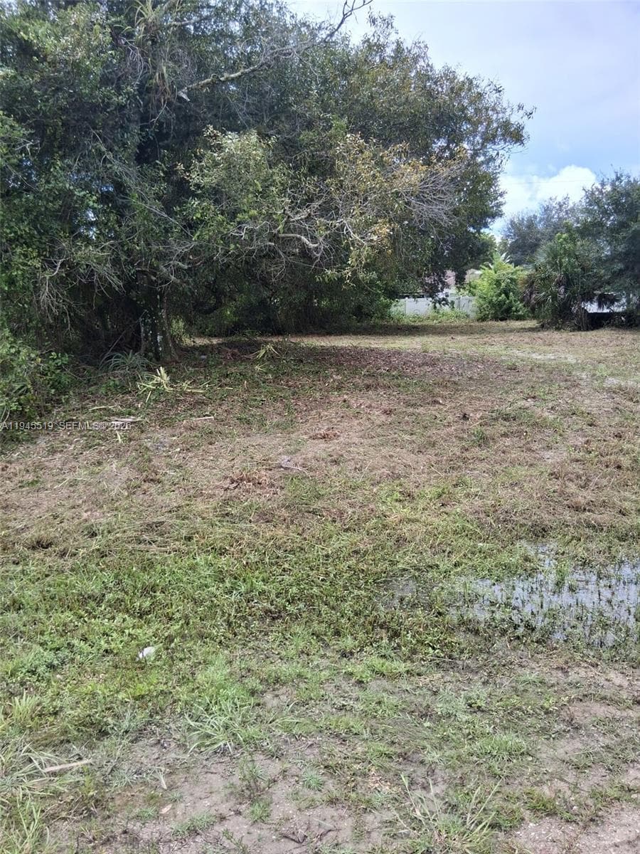 14070 CARLOS STREET, Fort Myers FL 33905