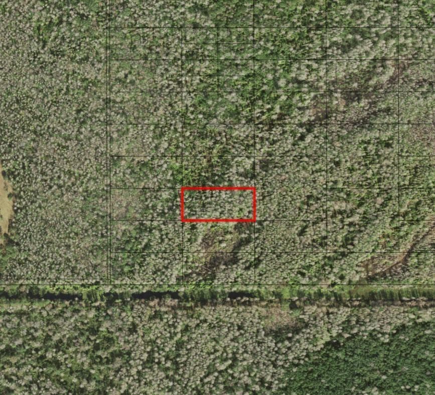 0 Holopaw Groves Road, FL 34772