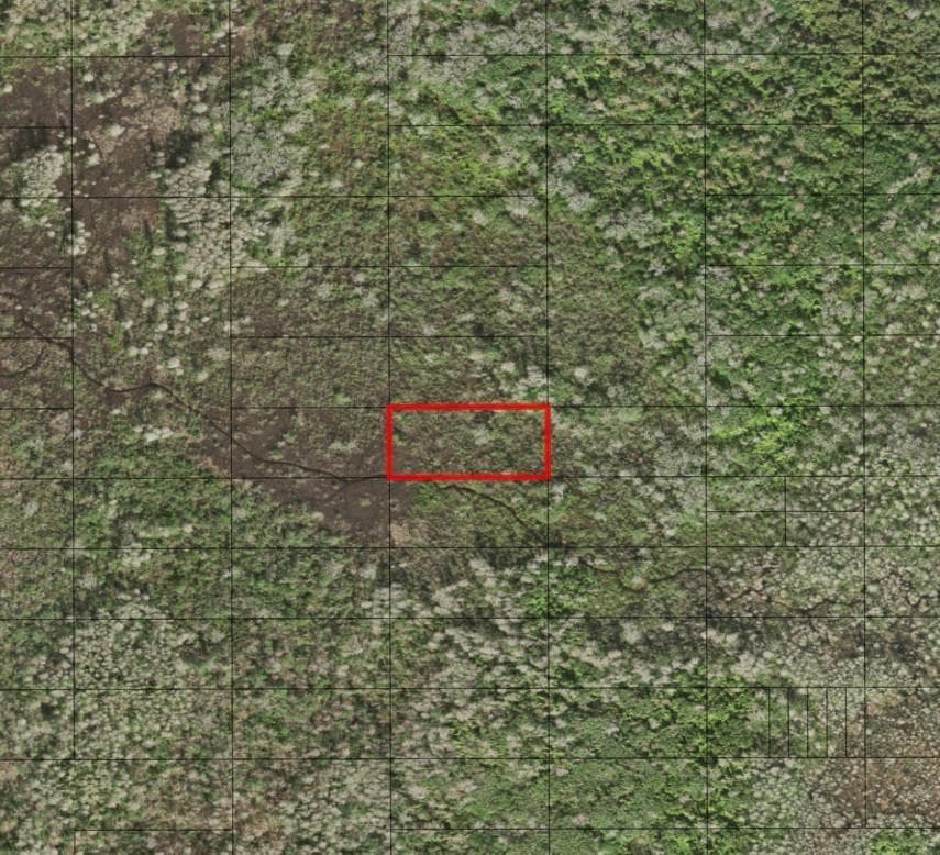 0 Holopaw Groves Road, FL 34772