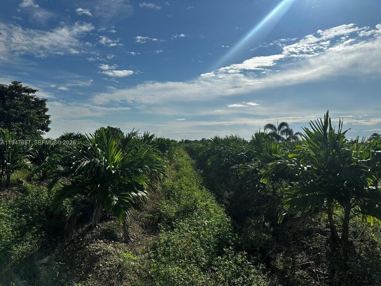 19051 SW 372 ST., Homestead FL 33034