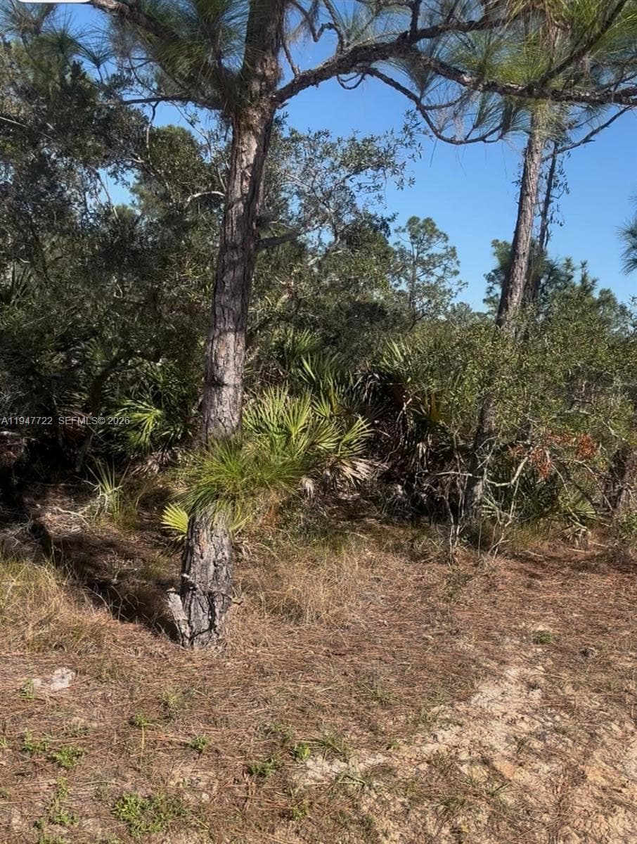 1846 NOLANA AVE, Sebring FL 33875